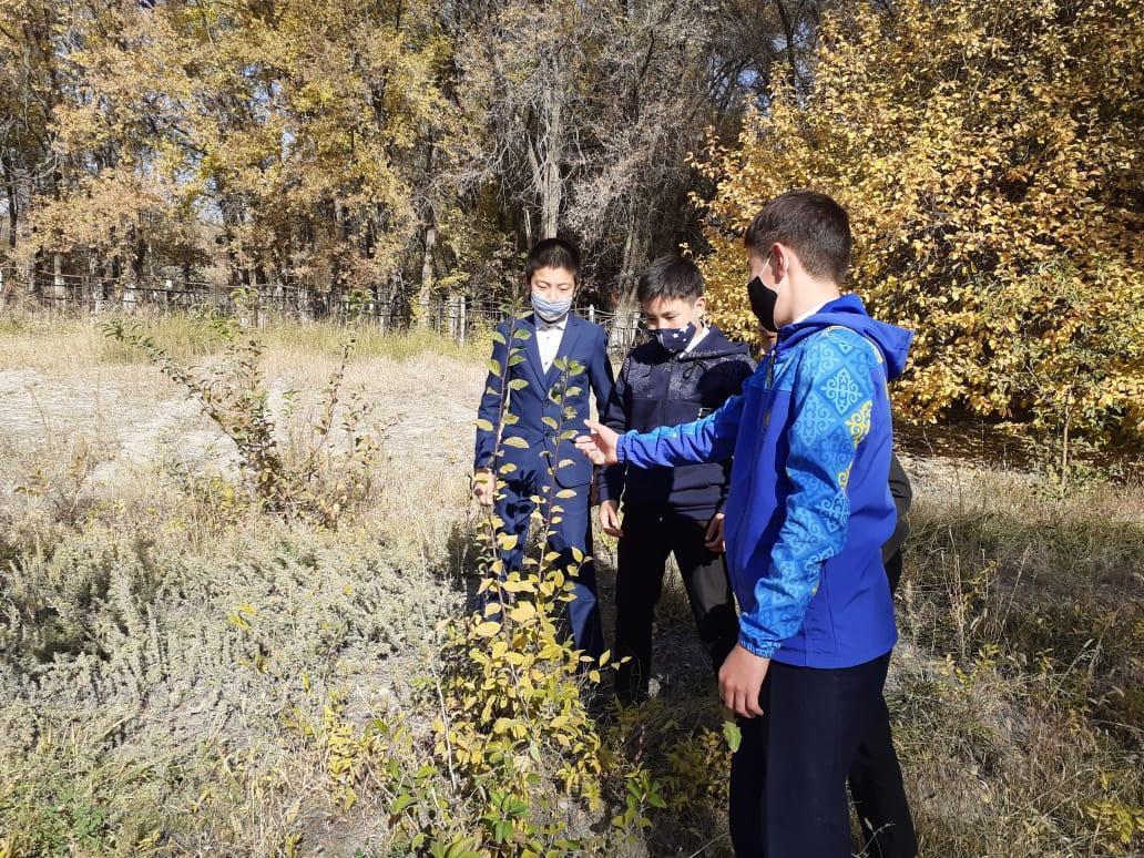 Табиғатты аялайық